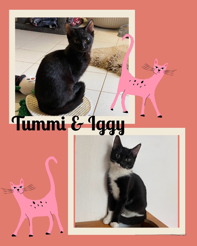 Tummi und Iggy (Igthorn)