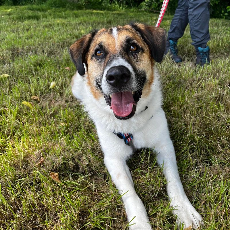 Sam